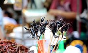 Anti-Cancer Creepy Crawlies? Yup – Eating Bugs Is Great for You