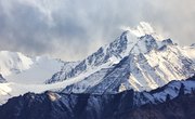 Characteristics of a Mountain Ecosystem