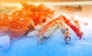 Types of Crab in Alaska