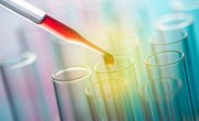 What Are the Effects of an Alkaline pH on the Structure of DNA?