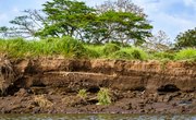 Erosion Effects on Ecosystem