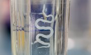 Labeled Parts of a Tapeworm