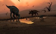 Scientists Just Made These 3 Big Prehistoric Discoveries