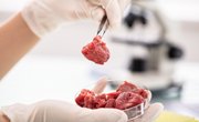 Lab-Grown Meat: Delicious Alternative or Nightmare?