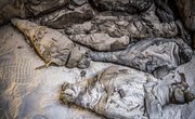 A Newly Discovered Tomb Full of Mummies Could Hold Ancient Secrets
