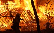 Trump Blamed Forest Management for California's Deadly Fires – But He's Wrong