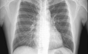 Where Does Respiration Occur?