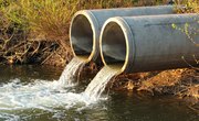 The Effects of Sewage on Aquatic Ecosystems