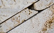 Effects of Rock Salt on Limestone
