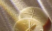 Activities for Kids for Holy Communion