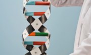 Ideas for Making a 3-D DNA Stand for High School