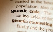 What Are the Different Variants of a Gene Called?
