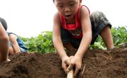 Mineral Content of Soil Types