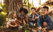 What Are the Functions of Plant Parts for Kids?