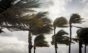 When Is Hurricane Season in Hawaii?