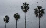 California Could be in for a Once-in-a-Millennium Rainstorm – Here's What You Need to Know
