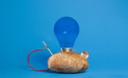 How to Make a Potato-Powered Light Bulb