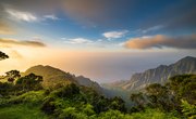 Tropical Rain Forest Biome Landscape Features