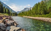 Abiotic Factors in an Aquatic Ecosystem