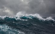 Facts About the Oceanic Zone
