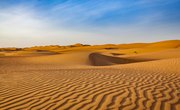 The Effects of Drought on Deserts