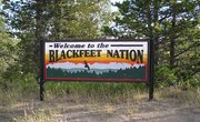 What are the Festivals That the Blackfeet Indians Celebrate?