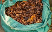 How to Make Compost for Kids