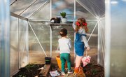 How to Make a Greenhouse for a Science Project