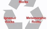 How Do Organic Sedimentary Rocks Form?