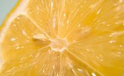 Can Fruits Make Electricity?