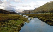 How Does Fertilizer Affect Aquatic Ecosystems?