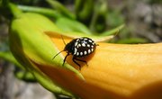 Lists of Things to Find in a Nature Scavenger Hunt for Teens