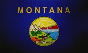 Filing Your 2021 State Income Taxes in Montana