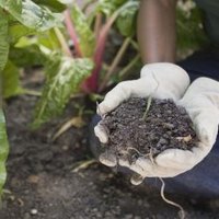 How to Improve Soil Drainage | eHow