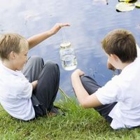 Environmental Activities For Kids 10