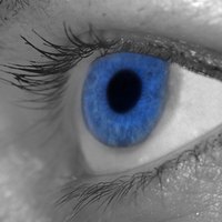 Adelgazar la cara en photoshop elements
