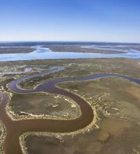 A Georgia state park is the only place to stay on Skidaway Island, unless you're a guest in the private home of a resident. This barrier island ...