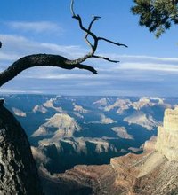 At first glance, the Grand Canyon, ruggedly slicing nearly 300 miles across Arizona's northern forests, can seem a daunting place to visit if you ...