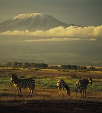 One of Earth’s grand geologic features, the East African Rift – often called the Great Rift Valley – is plain evidence of the perpetual restlessness ...
