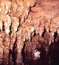 Some of best caving in the Northeast sits underneath upstate New York: The Northeastern Cave Conservancy maintains 14 known caves here. Several of ...