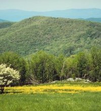 More than 5 miles of the Shenandoah River wind through the 1,604 wooded, mountainous acres of Virginia's Shenandoah River State Park. Trails lead to ...