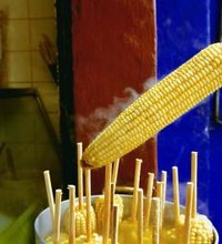 As one of the Corn Belt states, Wisconsin takes pride in its sweet corn crop. In fact, the southern Wisconsin city of Sun Prairie devotes four days ...