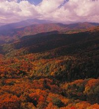 Western North Carolina's Blue Ridge and Great Smoky Mountains offer whitewater rafting, hiking and mountain biking. The region's largest city, ...