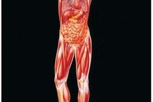 Celiac Artery Stenosis Symptoms