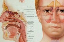 What Is Pan Sinus Disease?