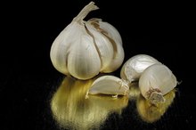 Benefits & Side Effects of Garlic Leaves