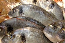 Comparison of Omega 3 in Herring and Salmon