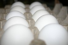 Is Egg a Brain Food?