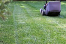 How to Lose Weight by Mowing the Lawn
