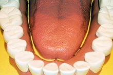 如何增加牙龈循环